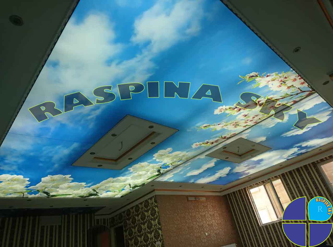 سقف کشسان چاپی راسپینا اسکای